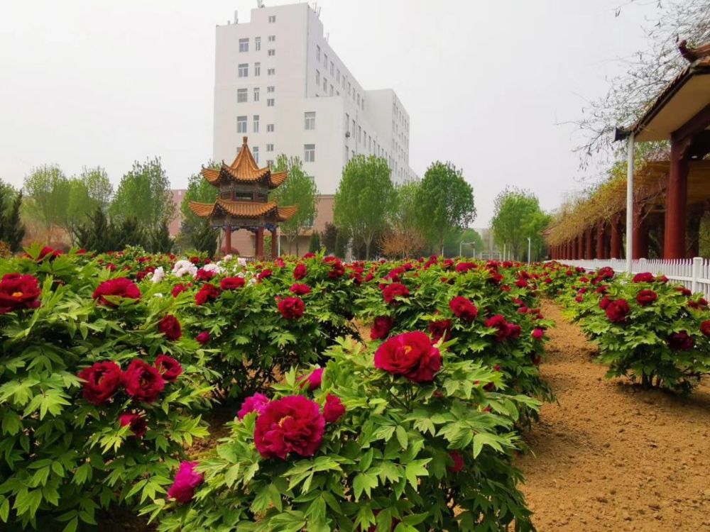 最美人间四月天 正是赏花好时节