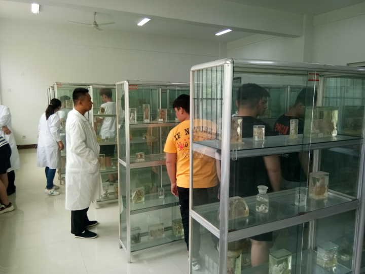 我校生命科学馆面向社会开放