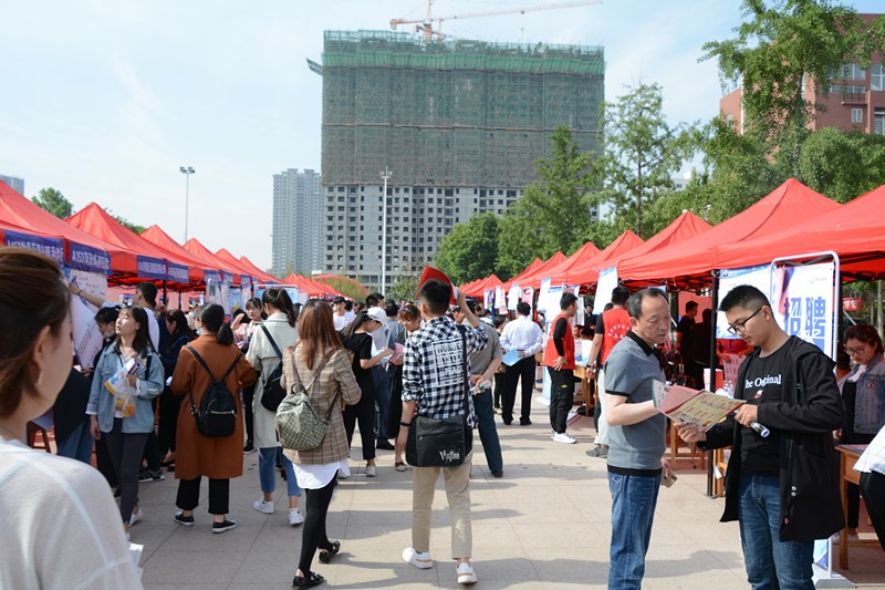 我校成功举办2019届毕业生夏季供需双选会