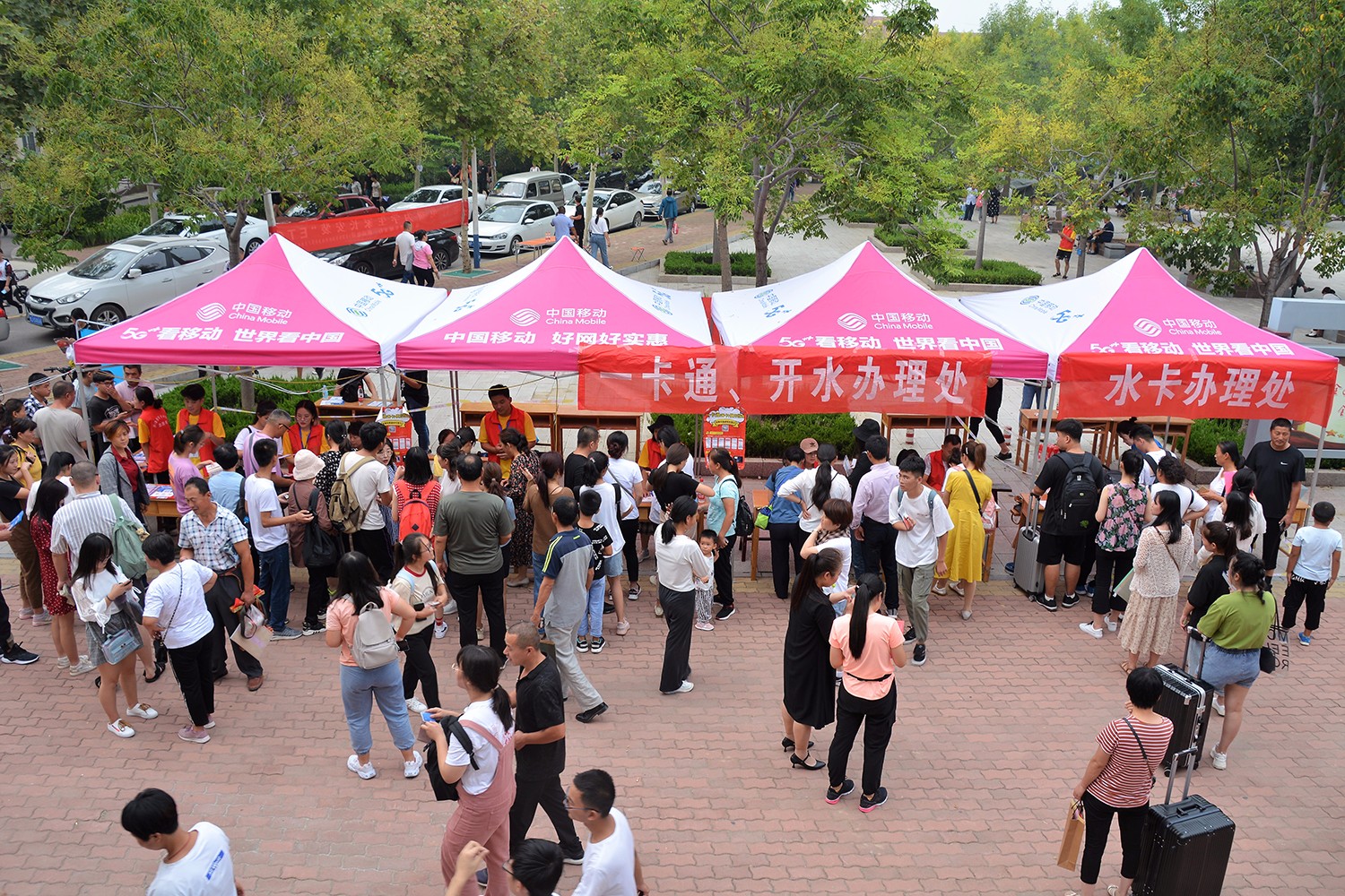 我校喜迎2019级新生入学报到