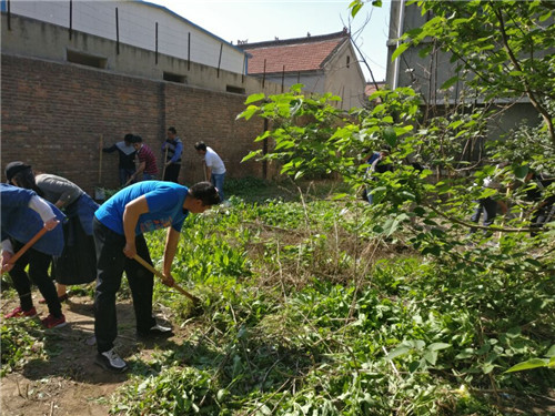 创城进行时 我校在行动