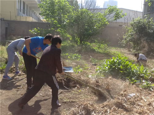 创城进行时 我校在行动