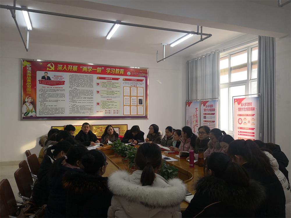 护理系党总支开展“学条例、严纪律”主题党日活动