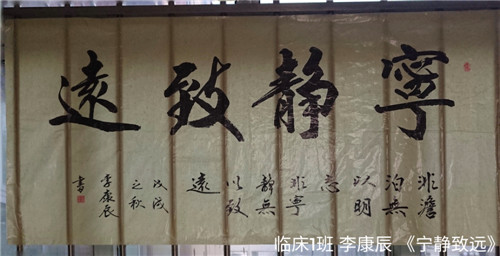 我校临床医学系举办书法绘画展