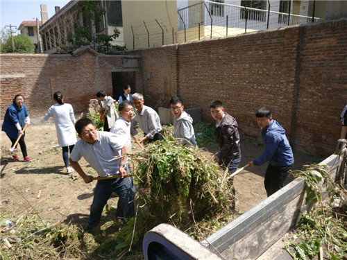 创城进行时 我校在行动