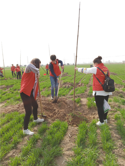 我校护理系天使筑梦志愿服务队参加植树节活动