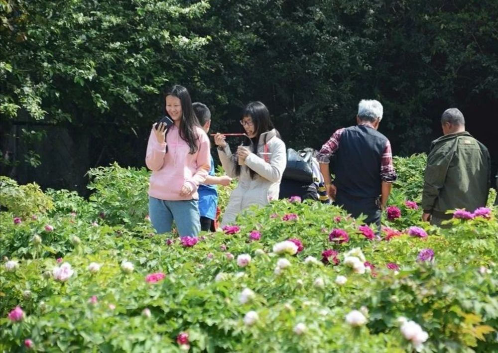 最美人间四月天 正是赏花好时节