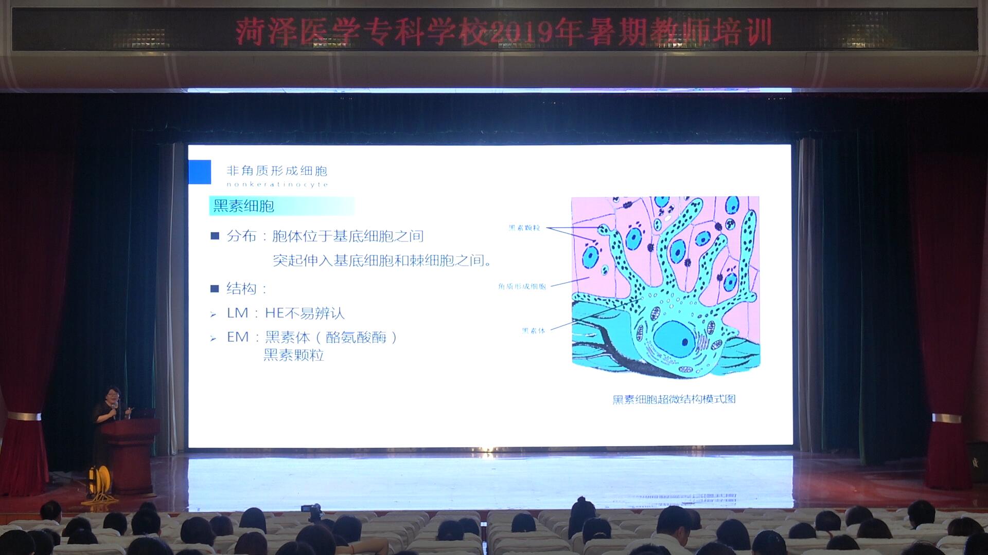 我校举行山东省高校教师教学比赛复赛展示性汇报活动